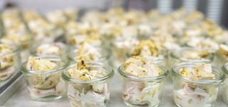 Catering vom Schlossrestaurant Zentgraf Gifhorn